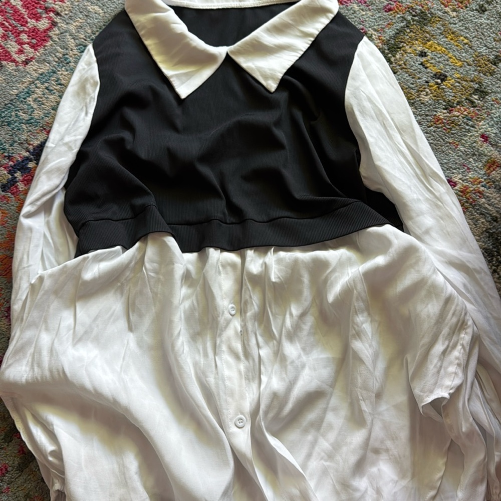 Shein Work Blouse